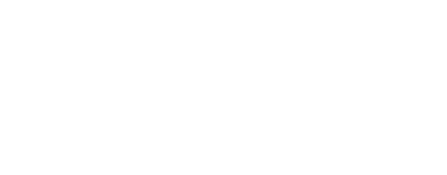 Paez Perez logo blanco